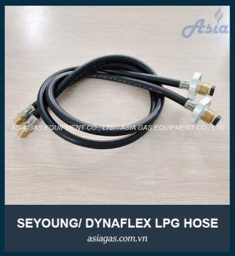 DÂY BÌNH GAS HƠI HÀN QUỐC SEYOUNG 