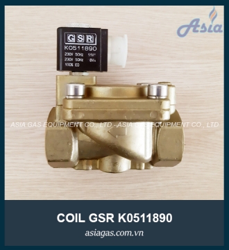 COIL VAN ĐIỆN TỪ GSR K0511890