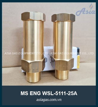 VAN AN TOÀN MS ENG 25A WSL-25A
