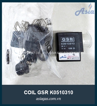 COIL VAN ĐIỆN TỪ GSR K0510310
