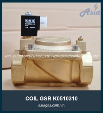 COIL VAN ĐIỆN TỪ GSR K0510310