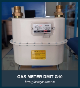 Đồng hồ đo lưu lượng gas G10 Dmit