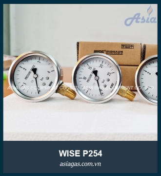 Đồng hồ đo áp suất gas Wise P254