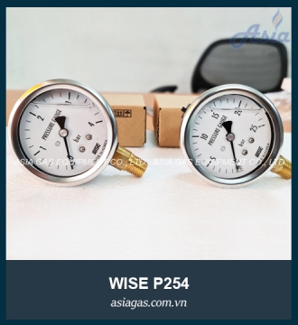 Đồng hồ đo áp suất gas Wise P254