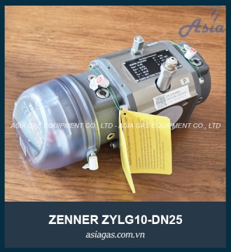 ĐỒNG HỒ LƯU LƯỢNG GAS ZYLG10-DN25