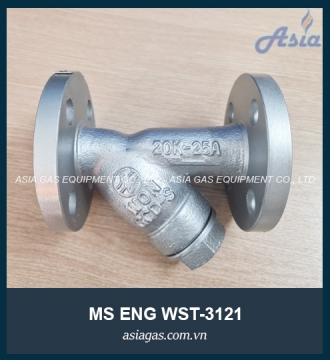 Lọc Y MS WON nối bích WST-3121