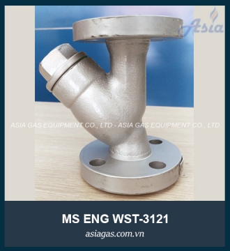 Lọc Y MS WON nối bích WST-3121