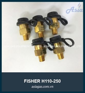 Van an toàn Fisher H110-250