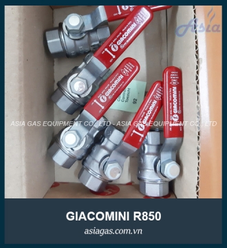 Van bi Giacomini R850