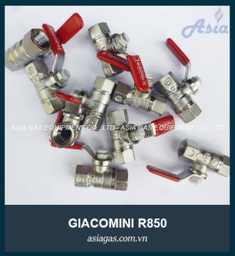 Van bi Giacomini R850