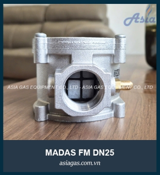 Bộ lọc gas Madas FM DN25 
