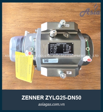 ĐỒNG HỒ LƯU LƯỢNG GAS ZYLG25-DN50