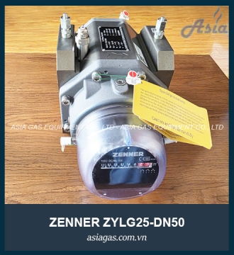 ĐỒNG HỒ LƯU LƯỢNG GAS ZYLG25-DN50