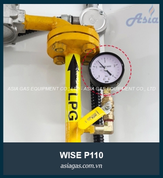 Đồng hồ đo áp suất gas Wise P110