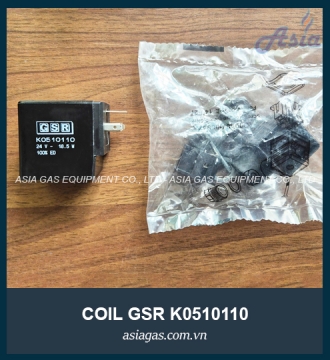 COIL VAN ĐIỆN TỪ GSR K0510110