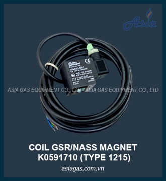 COIL PHÒNG NỔ GSR NASSMAGNET TYPE 1215