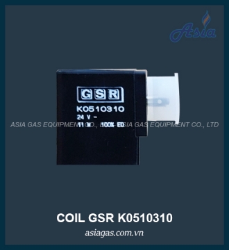 COIL VAN ĐIỆN TỪ GSR K0510310