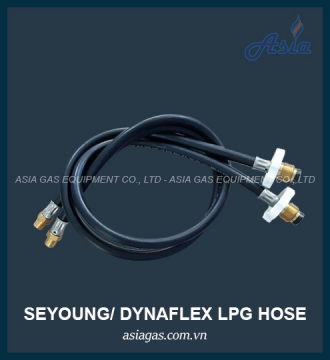 DÂY BÌNH GAS HƠI HÀN QUỐC SEYOUNG 