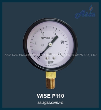 Đồng hồ đo áp suất gas Wise P110