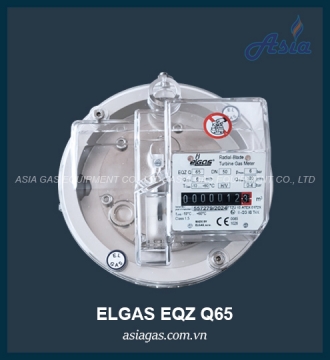 Đồng hồ lưu lượng gas EQZ Q65 Elgas
