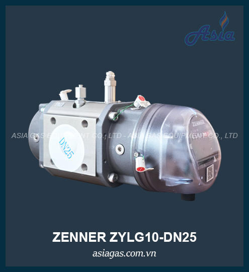 ĐỒNG HỒ LƯU LƯỢNG GAS ZYLG10-DN25
