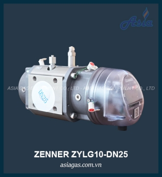 ĐỒNG HỒ LƯU LƯỢNG GAS ZYLG10-DN25
