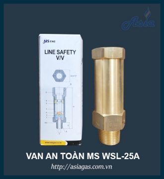 VAN AN TOÀN MS ENG 25A WSL-25A