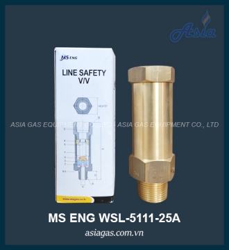 VAN AN TOÀN MS ENG 25A WSL-25A