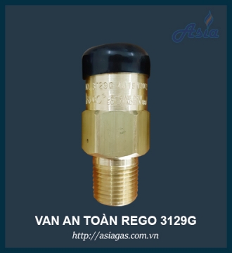 VAN AN TOÀN REGO 3129G 1/2''