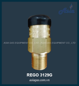 VAN AN TOÀN REGO 3129G 1/2''