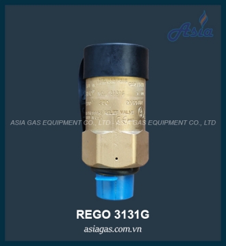 VAN AN TOÀN REGO 3131G 3/4''