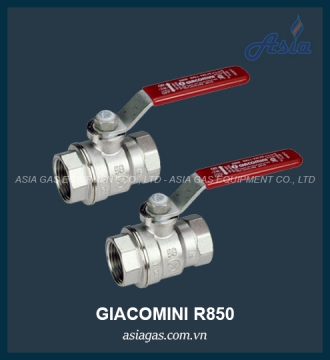 Van bi Giacomini R850