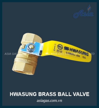 Van bi ren Hwasung (HS) 10K