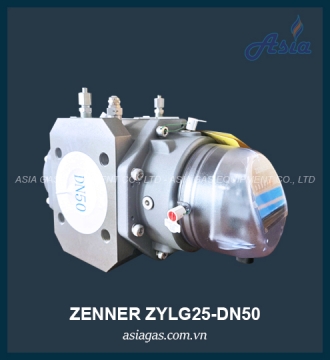 ĐỒNG HỒ LƯU LƯỢNG GAS ZYLG25-DN50